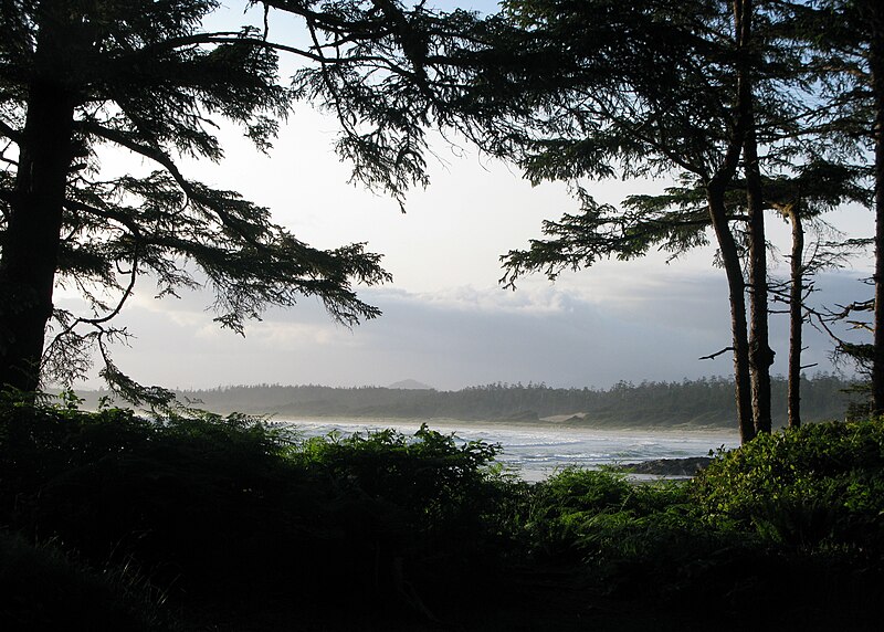 File:Pacific Rim National Park - Wickaninnish Beach (3670741531).jpg