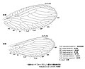 2021年5月3日 (月) 07:21時点における版のサムネイル