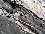 Pegmatite (light colored) in dark mica schist, Île de Noirmoutier, France