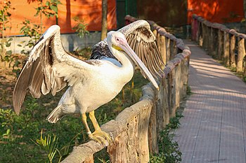 Bangabandhu Sheikh Mujib Safari Park. Photograph: Azim Khan Ronnie Licensing: CC-BY-SA-4.0