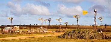 Penong windmills.jpg