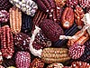 Peruvian purple corn is the base for many dishes and drinks, including the popular purple sweet custard (mazamorra morada)