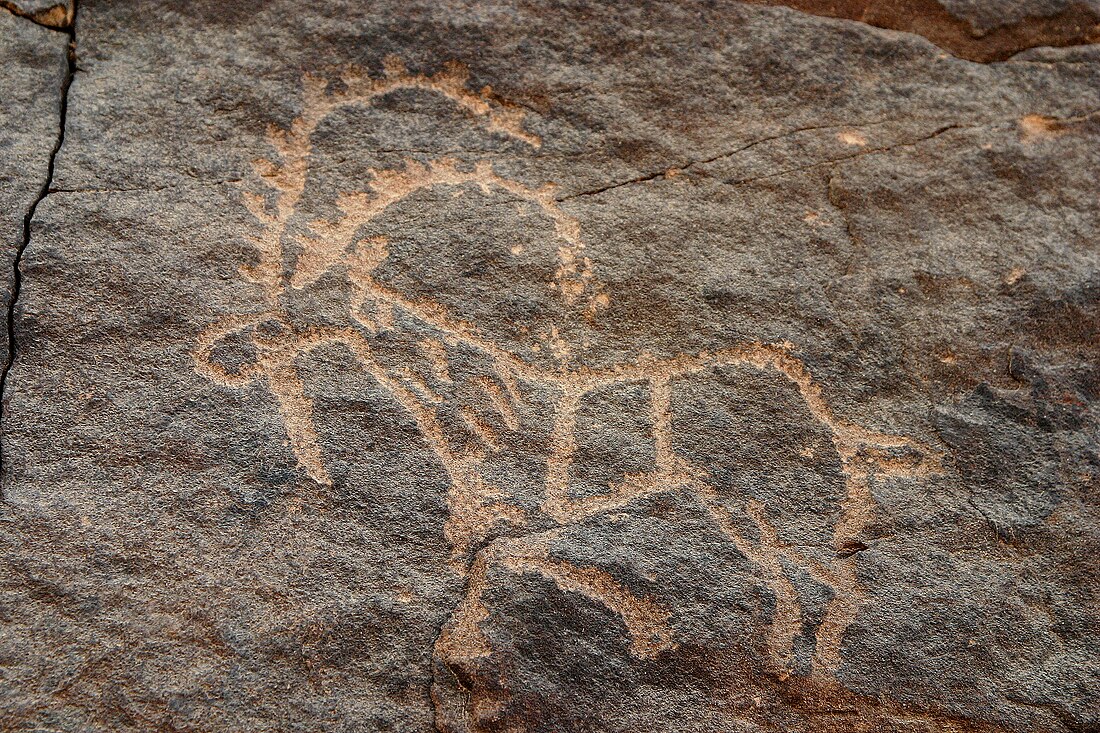 Bir Hima Rock Petroglyphs and Inscriptions