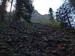 A talus deposit on Pilot Rock