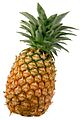 Pineapple fruit