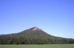 Arboreto de Arkansas