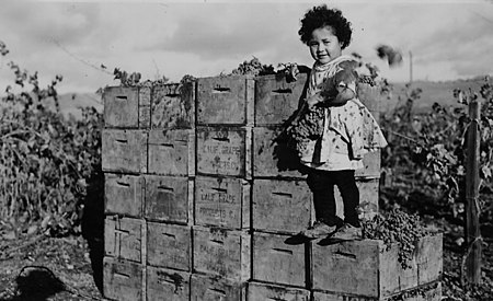 Pinoleville Rancheria Pomo girl