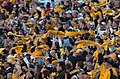 Image 35Fans of the Pittsburgh Steelers football team waving the Terrible Towel rally towel. (from Pennsylvania)