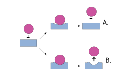 Elastic deformation (A) and plastic deformation (B) Plastic and elastic Deformation.svg