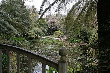 Pond, Trengwainton