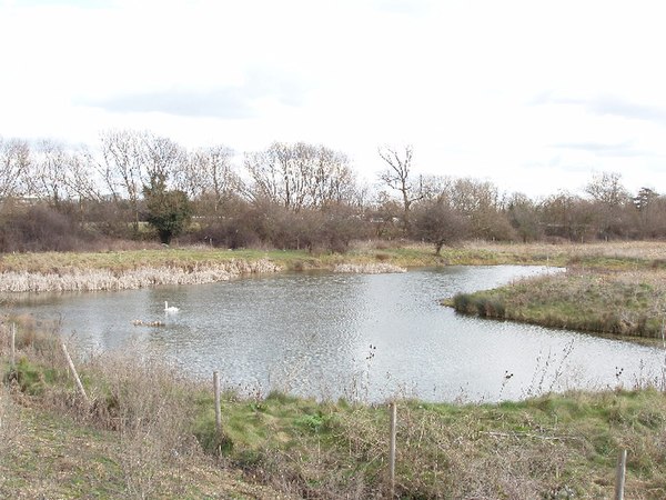 Concerns were raised about planned construction on Stanwell Moor, which has been reduced by successive widenings of the M25