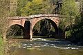 * Nomination The Roman Bridge over the Dourdou River, Conques, Aveyron, France. --Tournasol7 13:25, 31 March 2017 (UTC) * Promotion OK. --A.Savin 14:04, 1 April 2017 (UTC)