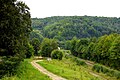 Blick auf den Poppenwald von Niederschlema