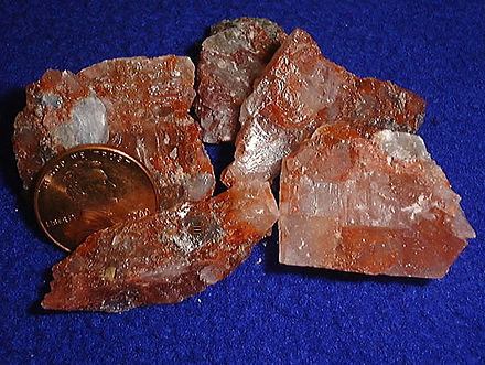 Polycrystalline potash, with a U.S. penny for reference. (The coin is 19 mm (0.75 in) in diameter and copper in color.)