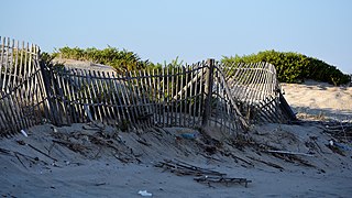 Praia do Barril, Tavira, Algarve (6045218771).jpg