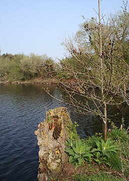 Promontory on mere, near Fenn's Bank - geograph.org.uk - 404010