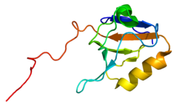 Ақуыз PDZK1 PDB 2EEI.png