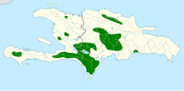 Hispaniola-aratinga