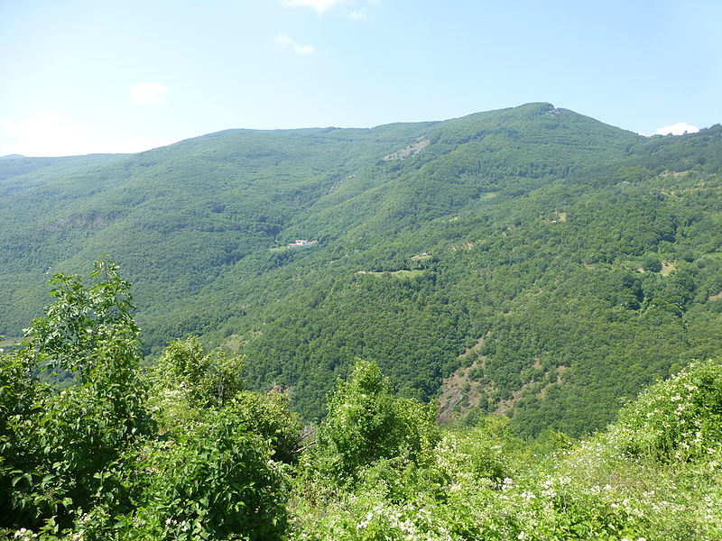 File:R1306 - climb to Kruševo - P1100196.JPG