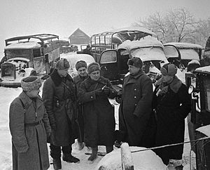 1941 Trận Moskva: Tình thế chiến trường Xô – Đức tại mặt trận Moskva, Binh lực hai bên tham chiến, Kế hoạch Typhoon của Đức và ý đồ phòng thủ của Liên Xô