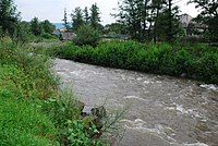 Săpânța (river)