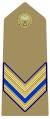 Distintivo di grado per controspallina di sergente paracadutista dell'Esercito
