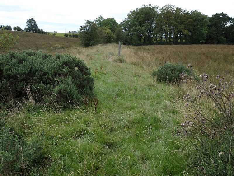 File:Ravenscraig Quarry railway embankment, old trackbed.JPG