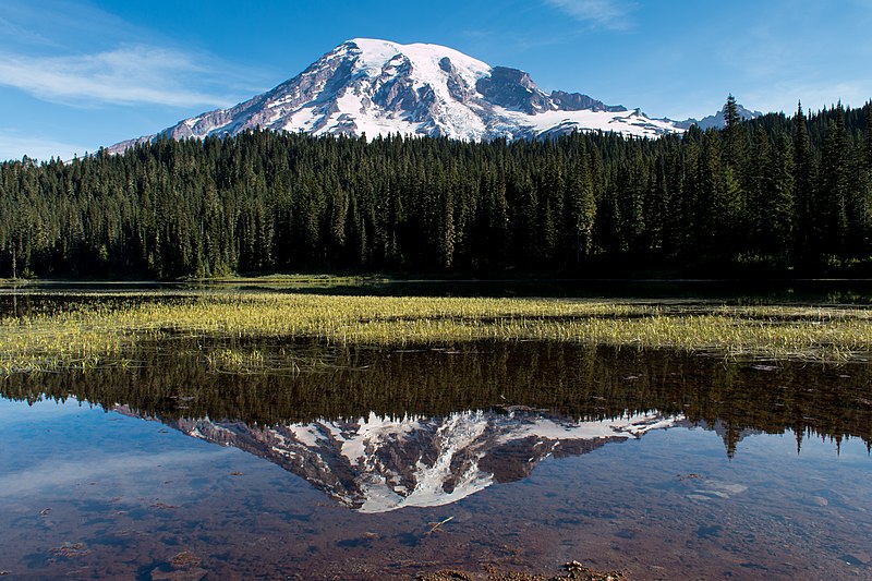 Best Hikes in Mount Rainier National Park