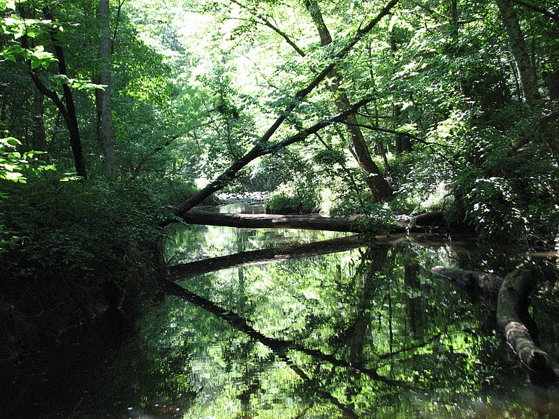 File:Reflection Sycamore Creek Company Mill Trail Umstead NC SP 0069 (3582992957).jpg