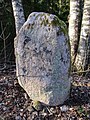 Svenska: Rest sten på Lellinges backar, Väsmestorp, Sörby socken, Falköpings kn, Västergötland. April 2022. (6446130, 402400)