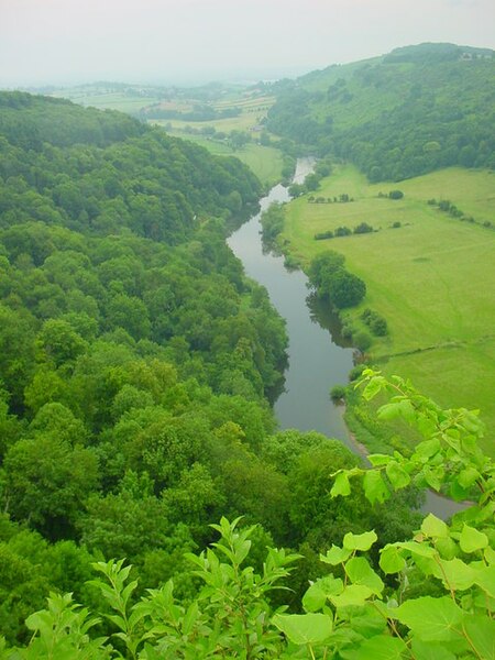 File:River Wye from Symonds Yat Rock - geograph.org.uk - 493755.jpg