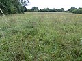 Thumbnail for Riverside House Meadow