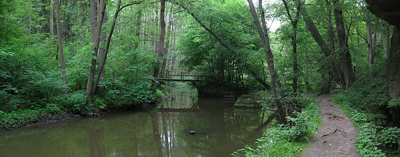 File:Robečský potok s lávkou - panoramio.jpg