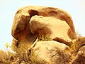 Rock design of Excavated Site of Bairat.jpg