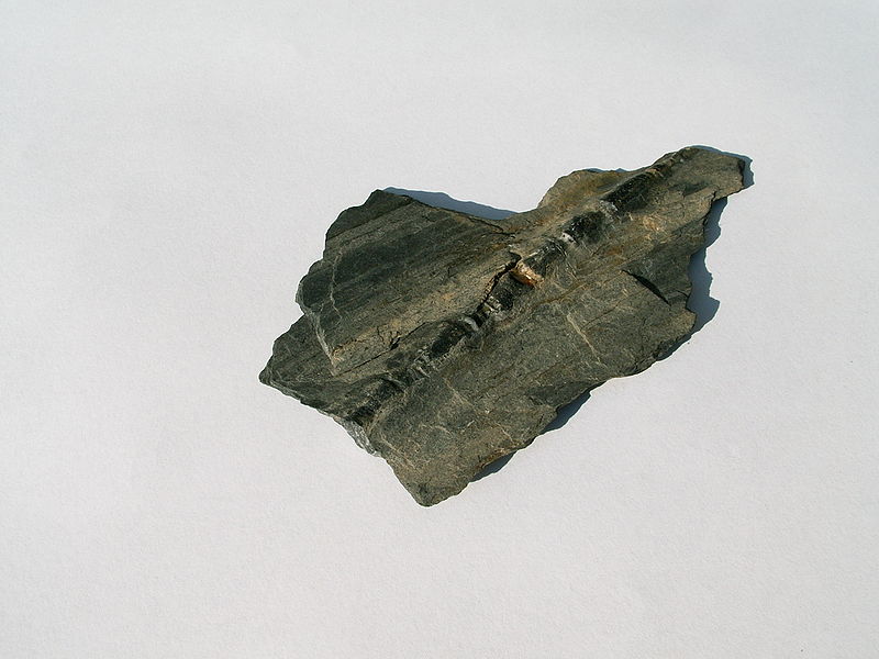 File:Rostre de bélemnite fracturé par déformation 01.jpg