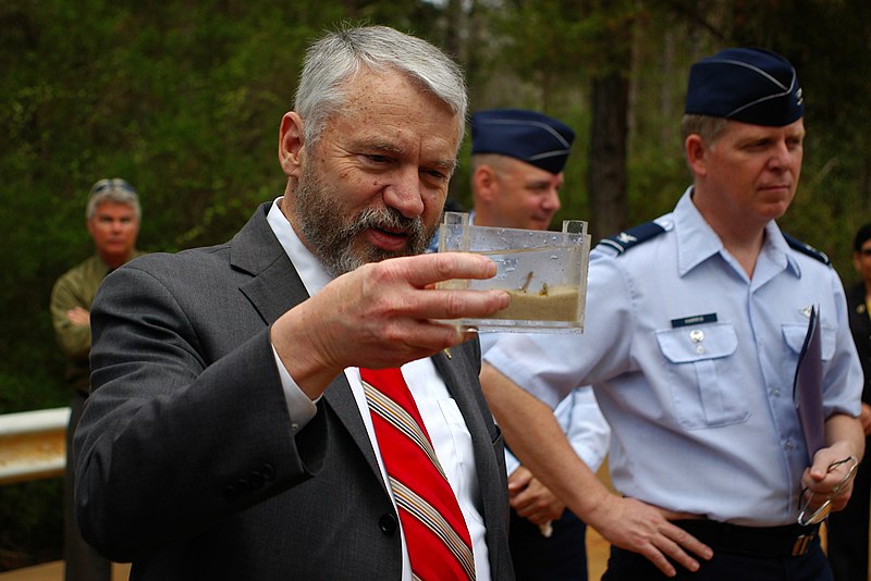 File:Rowan and a darter (5579860705).jpg