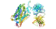 Serotonin transporter