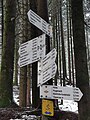 wikimedia_commons=File:SWV Wegweiser OGOP090 Am Wald.jpg