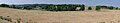 Prairies desséchées en juin au bord de la D10, en vue du Pinier, près de Saint-Eutrope, Charente, France.