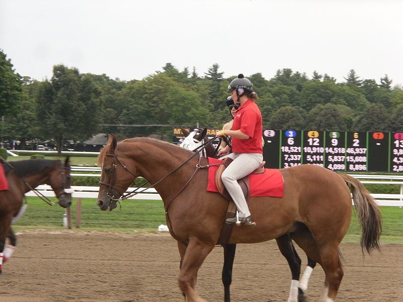 File:Saratoga Race Course - New York (4921836356).jpg