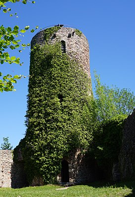 Vue depuis le sud du donjon de Sausenburg