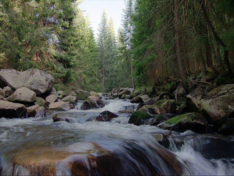 File:Schwarzwasser bei Breitenbach.jpg