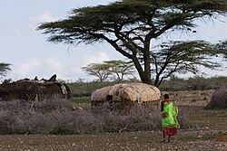 Village de Shaba Kenya.jpg