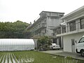 小松島市立芝田小学校