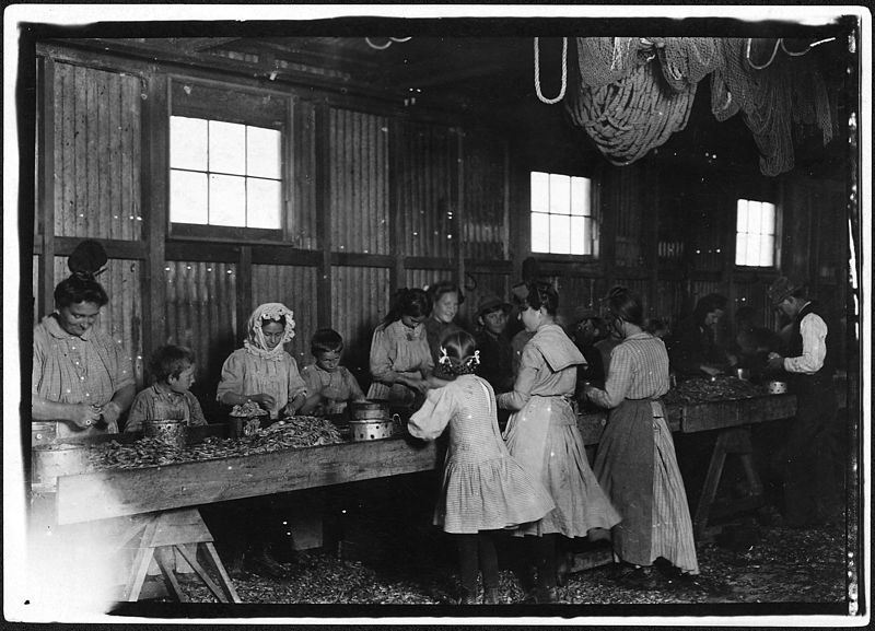 File:Shrimp pickers in Peerless Oyster Co. Photo was taken just as they stood. On other side of shed still younger... - NARA - 523410.jpg