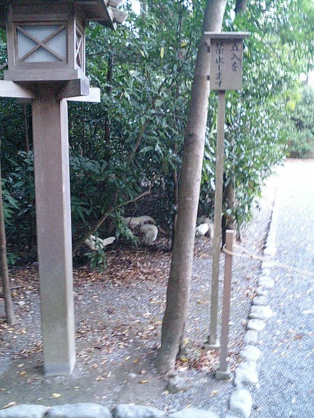 A free-range chicken roaming the grounds, considered to be the divine messenger of Amaterasu.