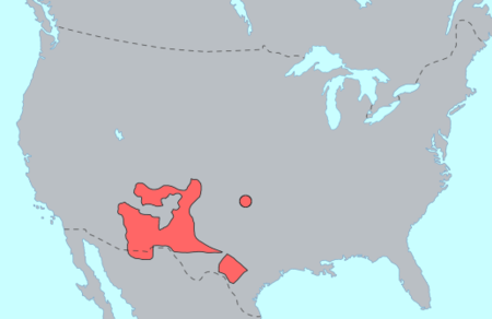 Nhóm ngôn ngữ Athabasca Nam
