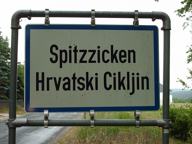 File:Spitzzicken - Hrvatski Cikljin.JPG