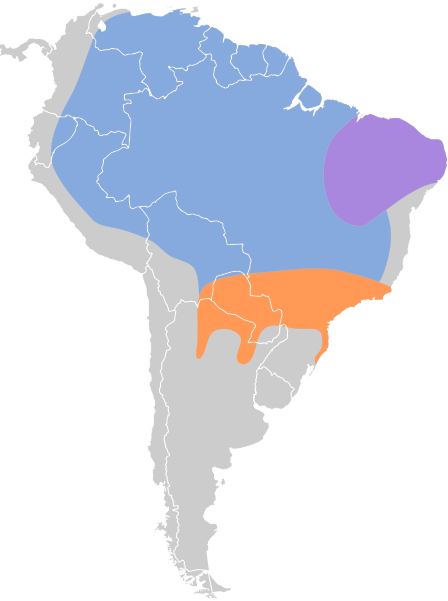 File:Sporophila lineola map.svg