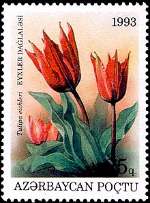 Stamp of Azerbaijan in 1993 Stamp of Azerbaijan - 1993 - Colnect 287780 - Tulipa eichleri.jpeg